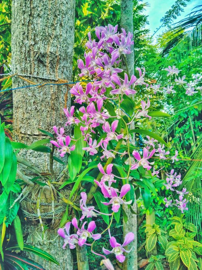 Ameena Homestay Tangalle Exteriör bild